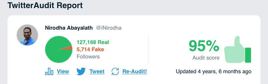 twitter audit tool analyze fake and real Twitter followers